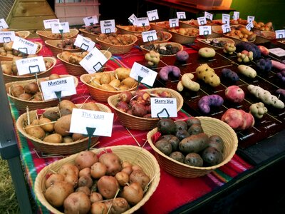 Food market products