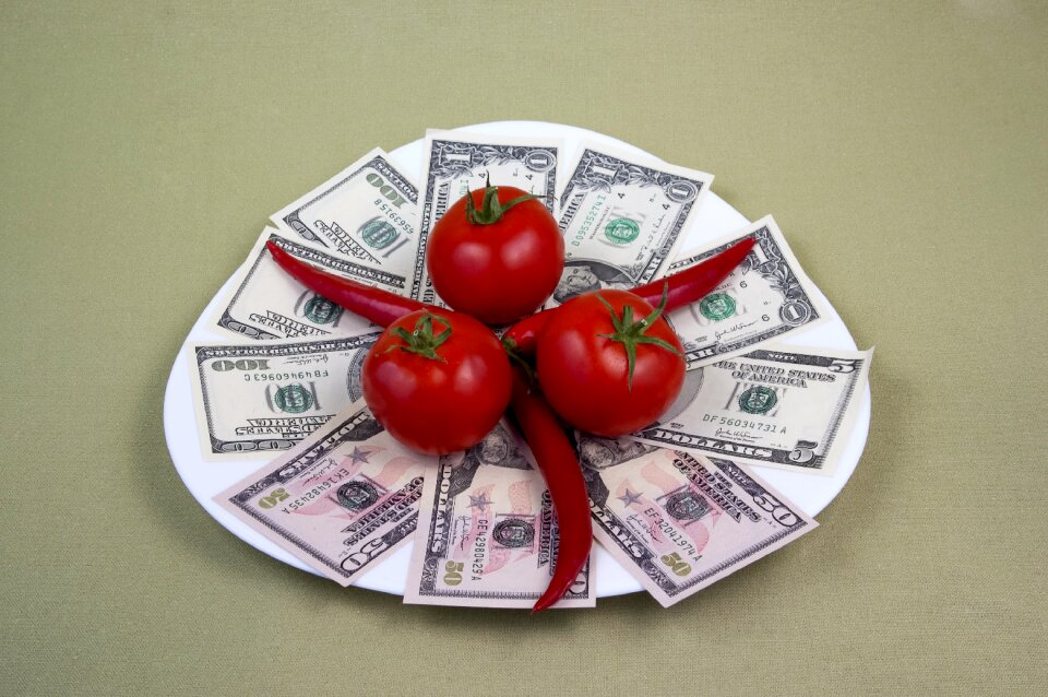 Finances the bucks money