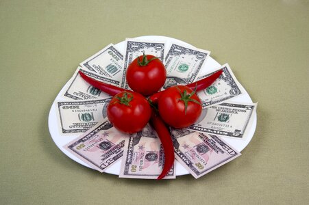 Finances the bucks money