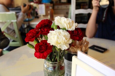 Table rose people