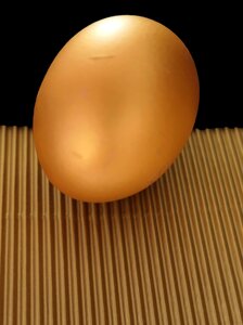 Yolk golden egg food photo