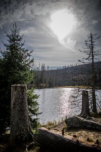 Forests landscape mountain lake photo