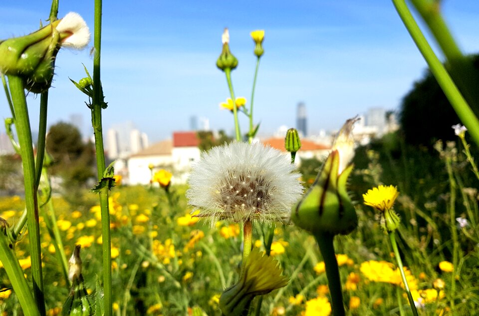 Field grass outdoors