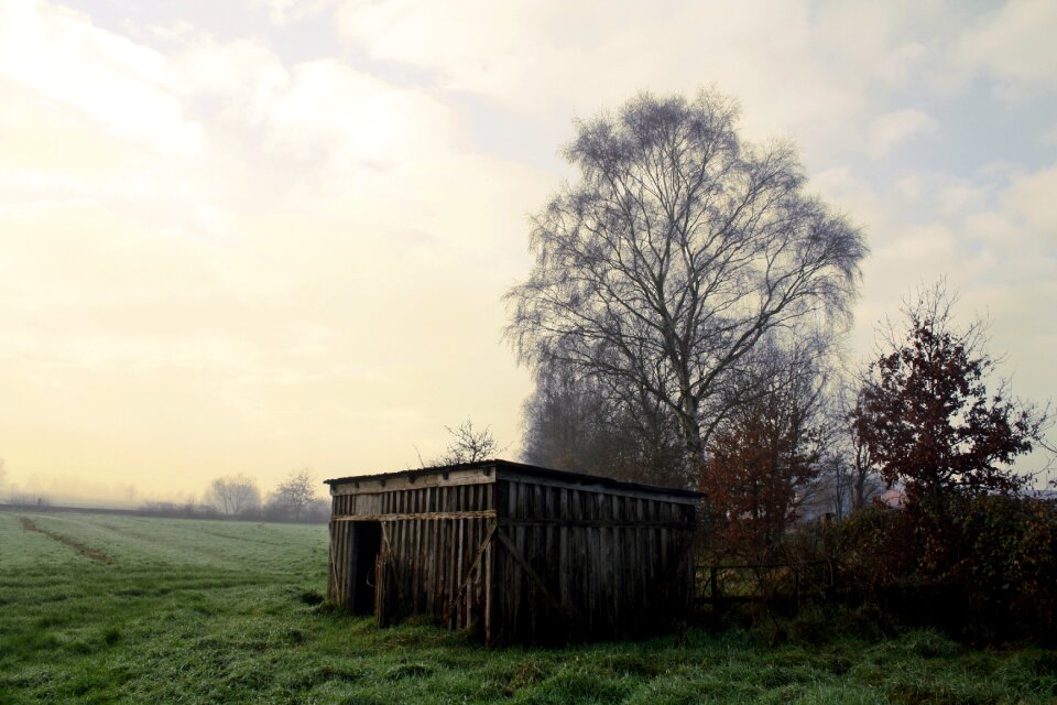 Landscape wood moor bremervörde