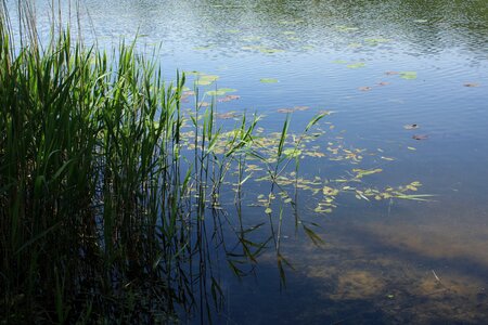 Reflection lake nature