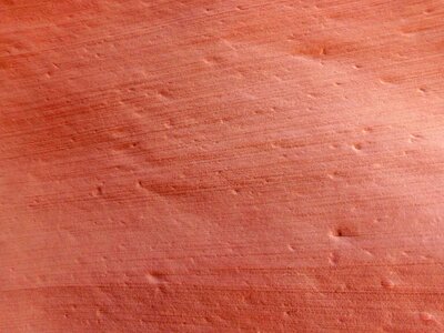 Old pierre pink sandstone