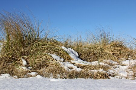 Landscape cold dunes photo