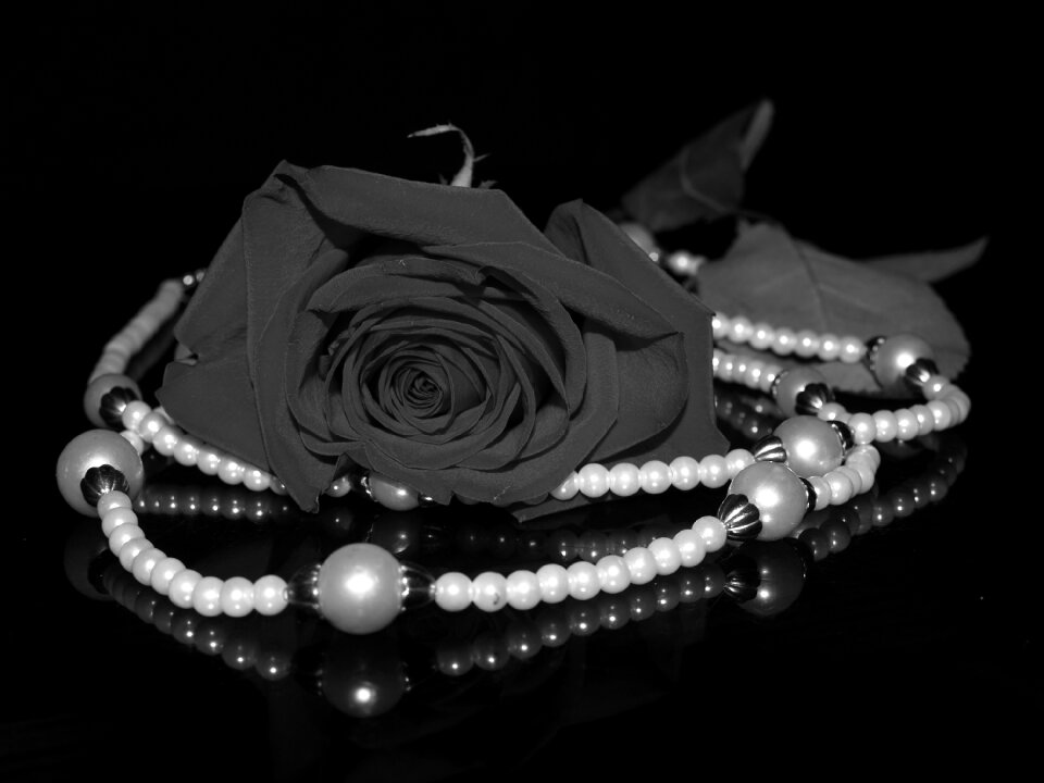 Necklace shining black jewelry