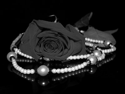 Necklace shining black jewelry photo