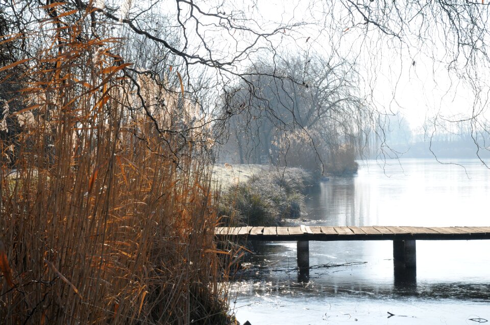 Cold nature frost