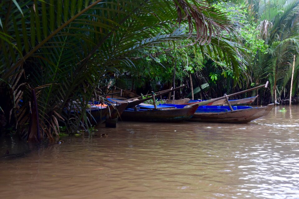 Tropical water travel