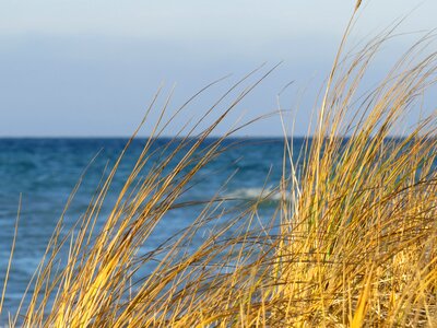 Grass fair weather lake michigan
