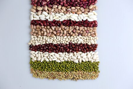 Grain kidney beans green beans photo