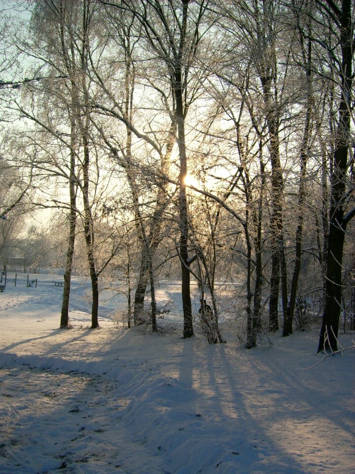 Nature landscape snow photo