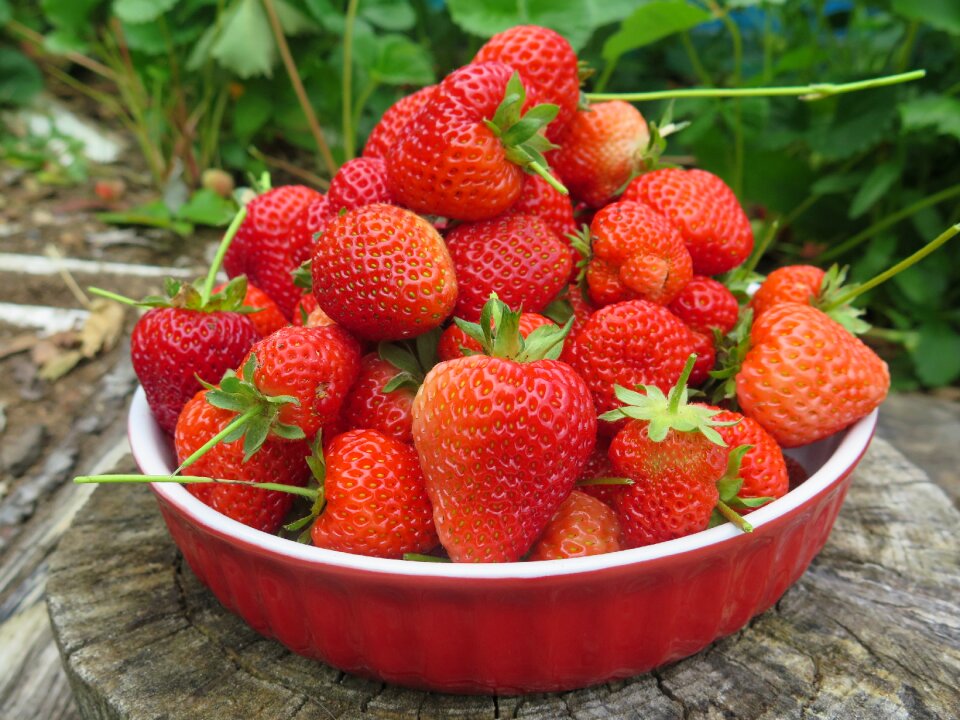 Healthy freshness red
