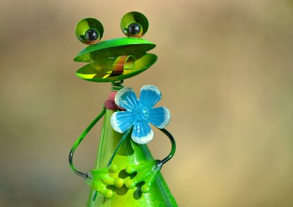 Plant frog flower photo