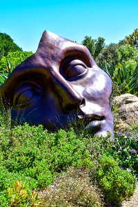 Face south africa hidden valley vineyard