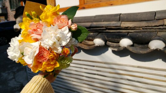 Nature flowers wall