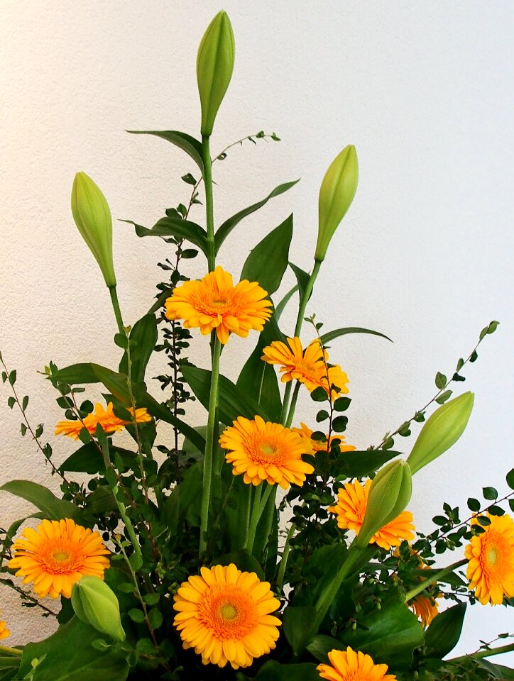 Arrangement festive lilies