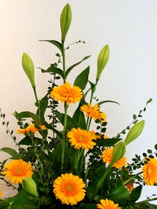 Arrangement festive lilies photo