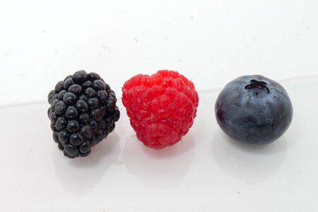 Sweet blackberry