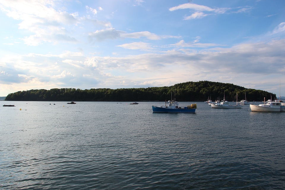 Boats ships forest