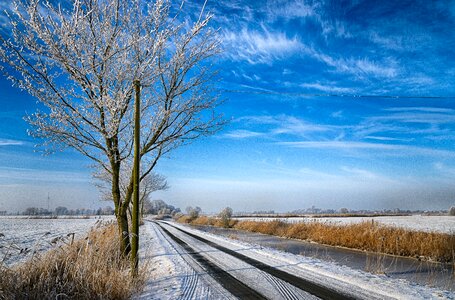 Winter season frosty