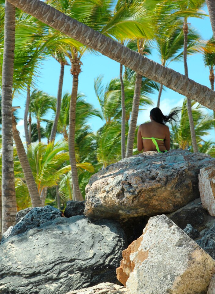 Palm travel island