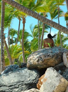 Palm travel island
