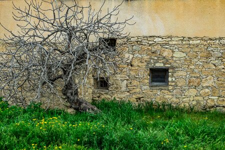 Stone nature decay