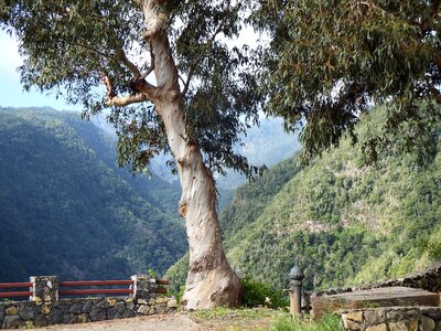 Cc0 los tilos ravine