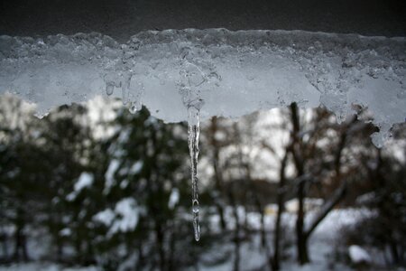 Winter wood cold
