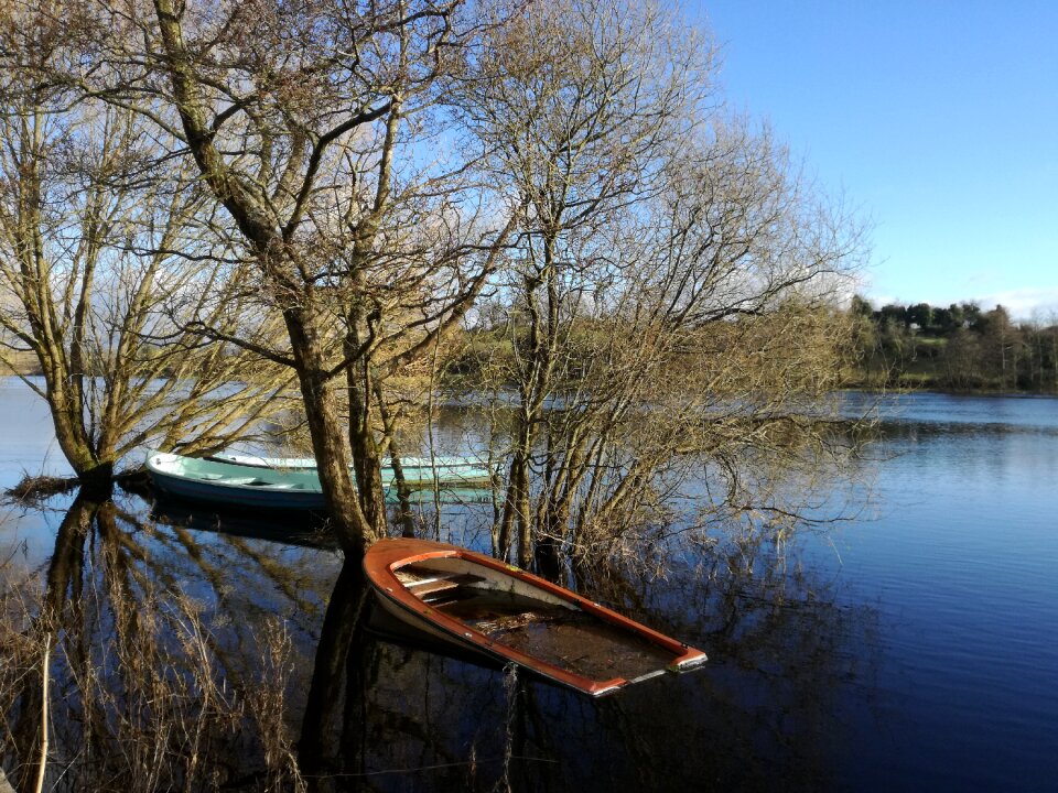 Nature lake wood photo