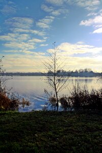 Panorama tree vörder country
