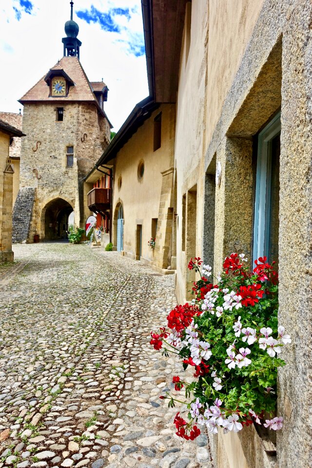 House village flowers