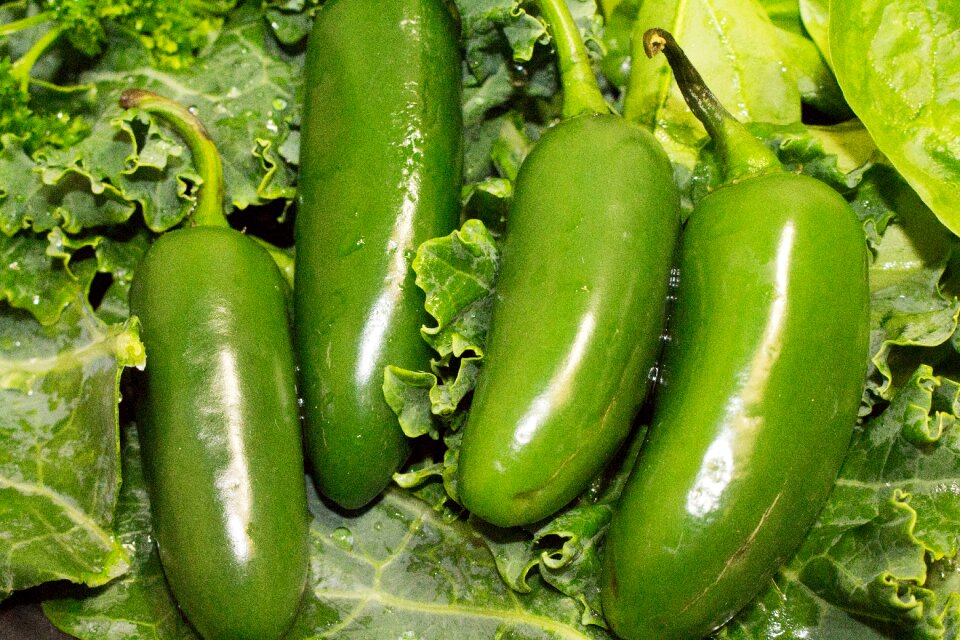 Healthy freshness