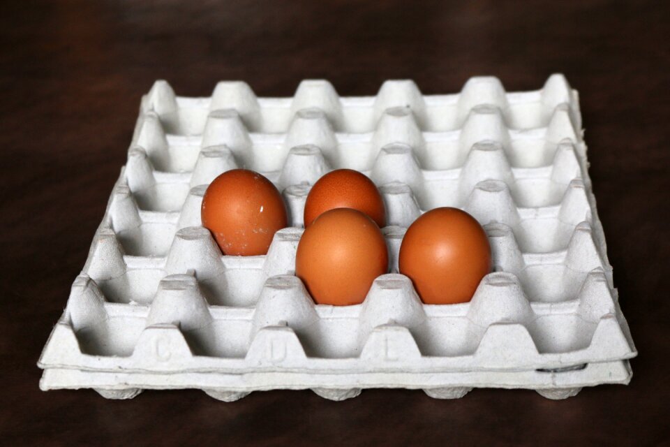 Kitchen egg of hens easter