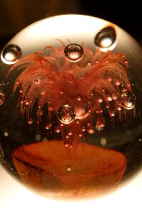 Paperweight macro red photo