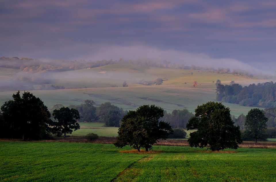 Sunshine mist forest photo