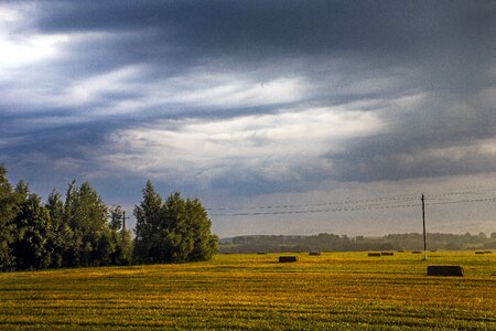 Field panoramic landscape