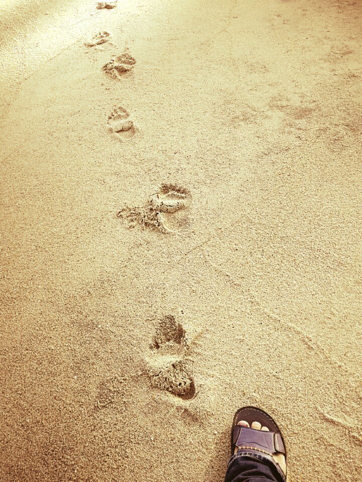 People seashore sandy