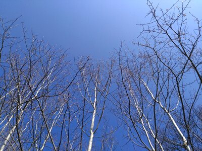 Landscape blue spring
