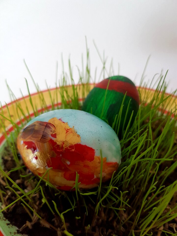 Food grass nature