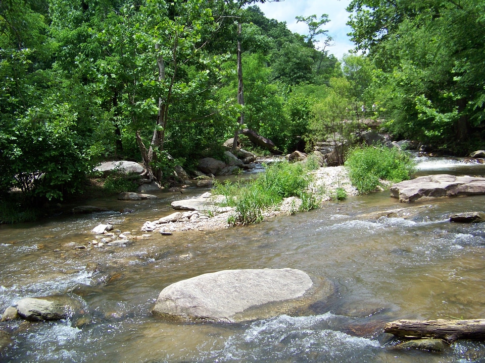 Trees flowing landscape photo