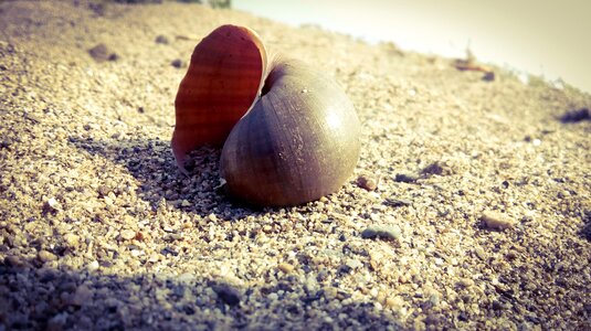 Seashore summer