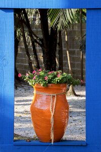 Window arrangement vase
