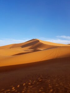 Waterless dry sahara photo