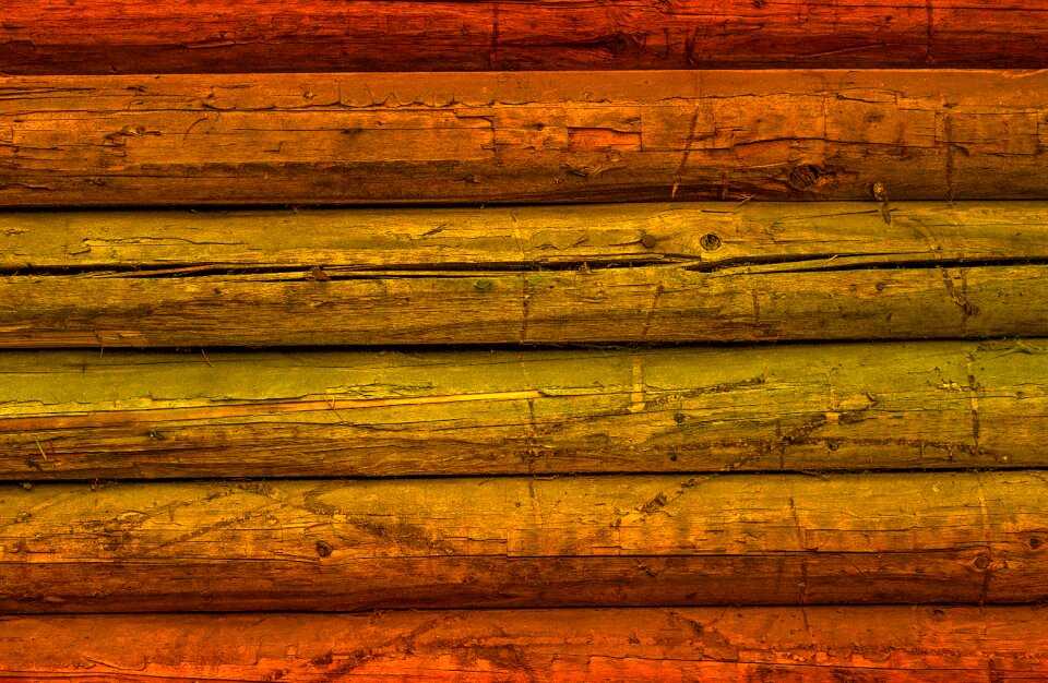 Texture nature colorful