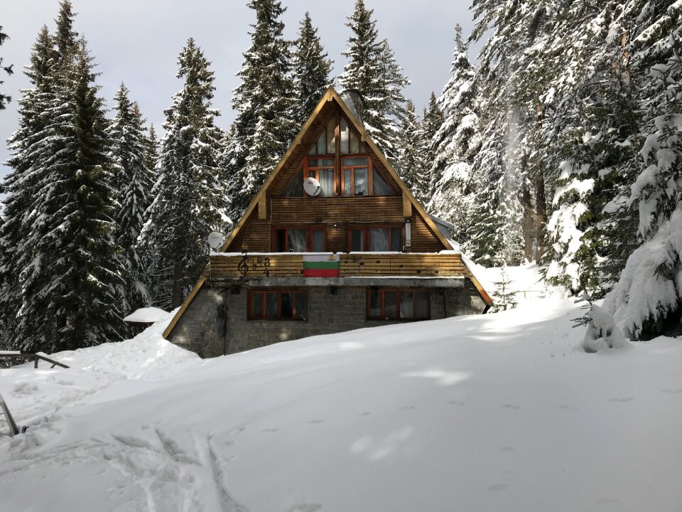 Forest planinarska songs winter