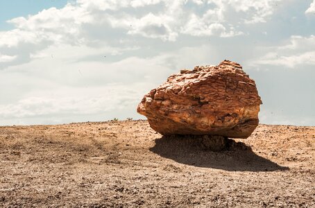 Sky stone petrified forest